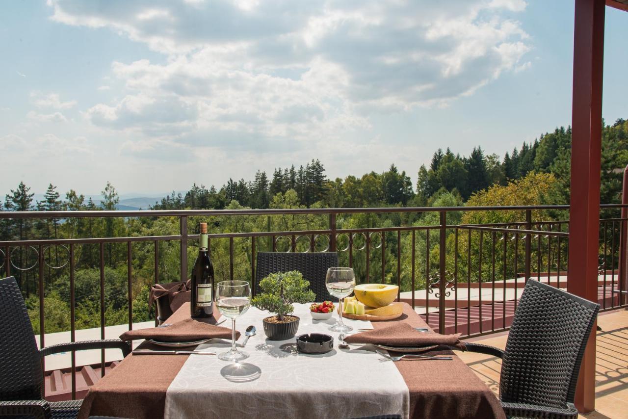 Hotel Villa Magus Kladnitsa Dış mekan fotoğraf